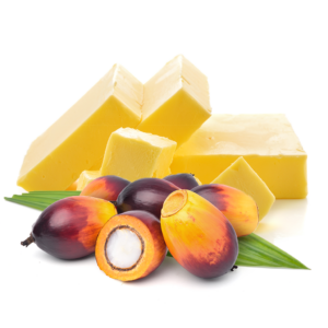 palm oil